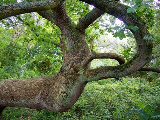 Ferienhaus Stavreby  35