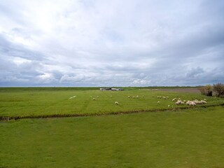 Maison de vacances Groven Environnement 23