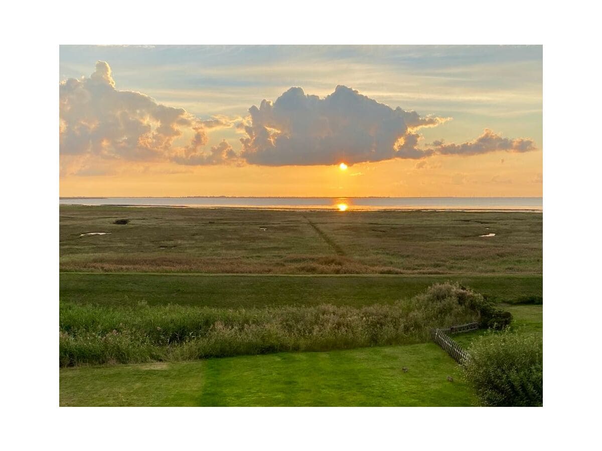 Blick vom Haus auf das Wattenmeer