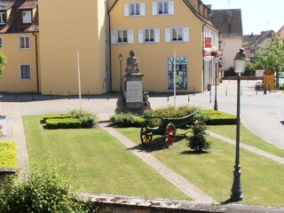 Appartamento per vacanze Jebsheim Registrazione all'aperto 7