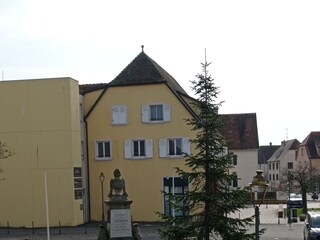 Holiday apartment Jebsheim Outdoor Recording 7