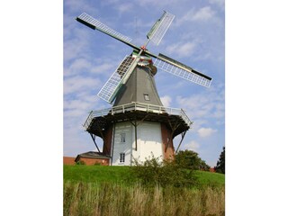 Greetsieler Mühlen