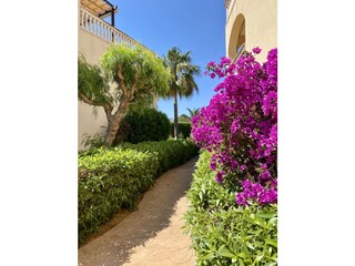 Holiday apartment Cala Mendia Outdoor Recording 8