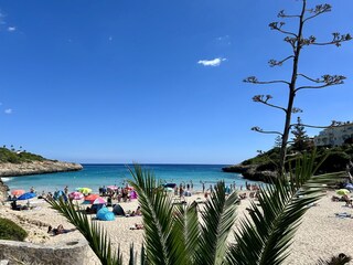 Appartamento per vacanze Cala Mendia Ambiente 28