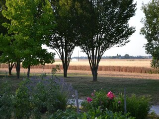 Holiday house Chilleurs-aux-Bois Environment 19