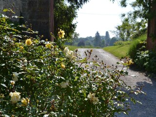 Ferienhaus Chilleurs-aux-Bois  40