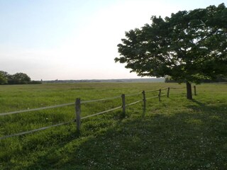 Vakantiehuis Chilleurs-aux-Bois Omgeving 31