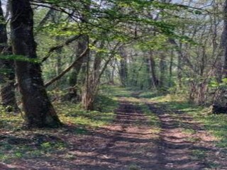 Vakantiehuis Chilleurs-aux-Bois Omgeving 31