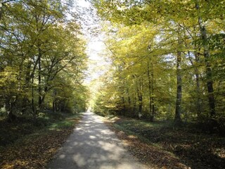 Vakantiehuis Chilleurs-aux-Bois Omgeving 22