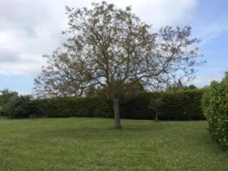 Vakantiehuis Chilleurs-aux-Bois Omgeving 26