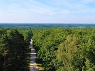 Vakantiehuis Chilleurs-aux-Bois Omgeving 36