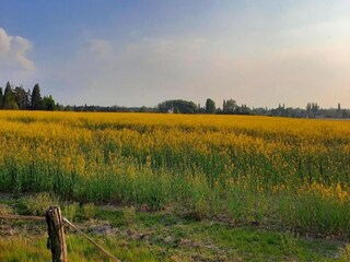 Ferienhaus Chilleurs-aux-Bois Umgebung 35