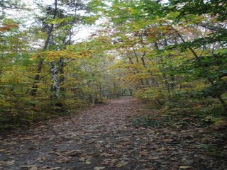 Maison de vacances Chilleurs-aux-Bois Environnement 21