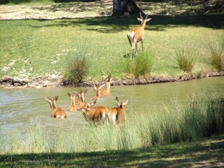 Vakantiehuis Chilleurs-aux-Bois Omgeving 25