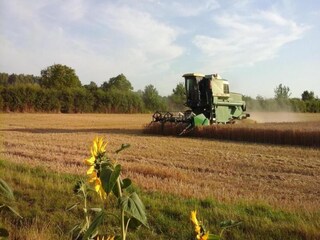 Maison de vacances Chilleurs-aux-Bois Environnement 26