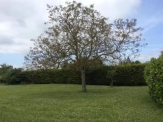 Vakantiehuis Chilleurs-aux-Bois Omgeving 35