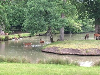 Vakantiehuis Chilleurs-aux-Bois Omgeving 33
