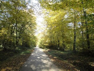 Maison de vacances Chilleurs-aux-Bois Environnement 34