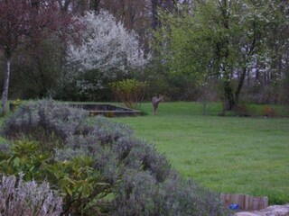 Ferienhaus Chilleurs-aux-Bois Umgebung 36