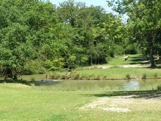 Holiday house Chilleurs-aux-Bois Environment 30