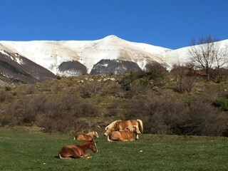 Casa vacanze Pescia Ambiente 34