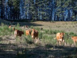 Cottage Pescia Umgebung 25