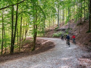 Vakantiehuisje Pescia Omgeving 27