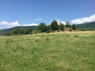 Holiday cottage Pescia Environment 32