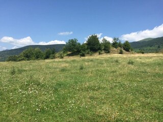 Maison de vacances Pescia Environnement 26