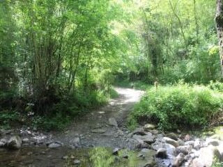 Casa vacanze Pescia Ambiente 27