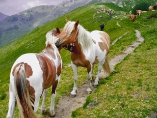 Casale Pescaglia Ambiente 28