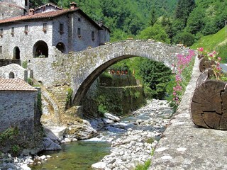 Type de propriété : Chalet Pescaglia Environnement 25