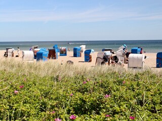 Appartamento per vacanze Olpenitz Ambiente 24