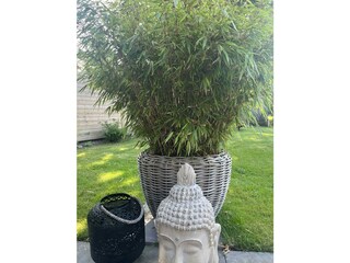 "Ferienhaus Löftchen" Terrasse