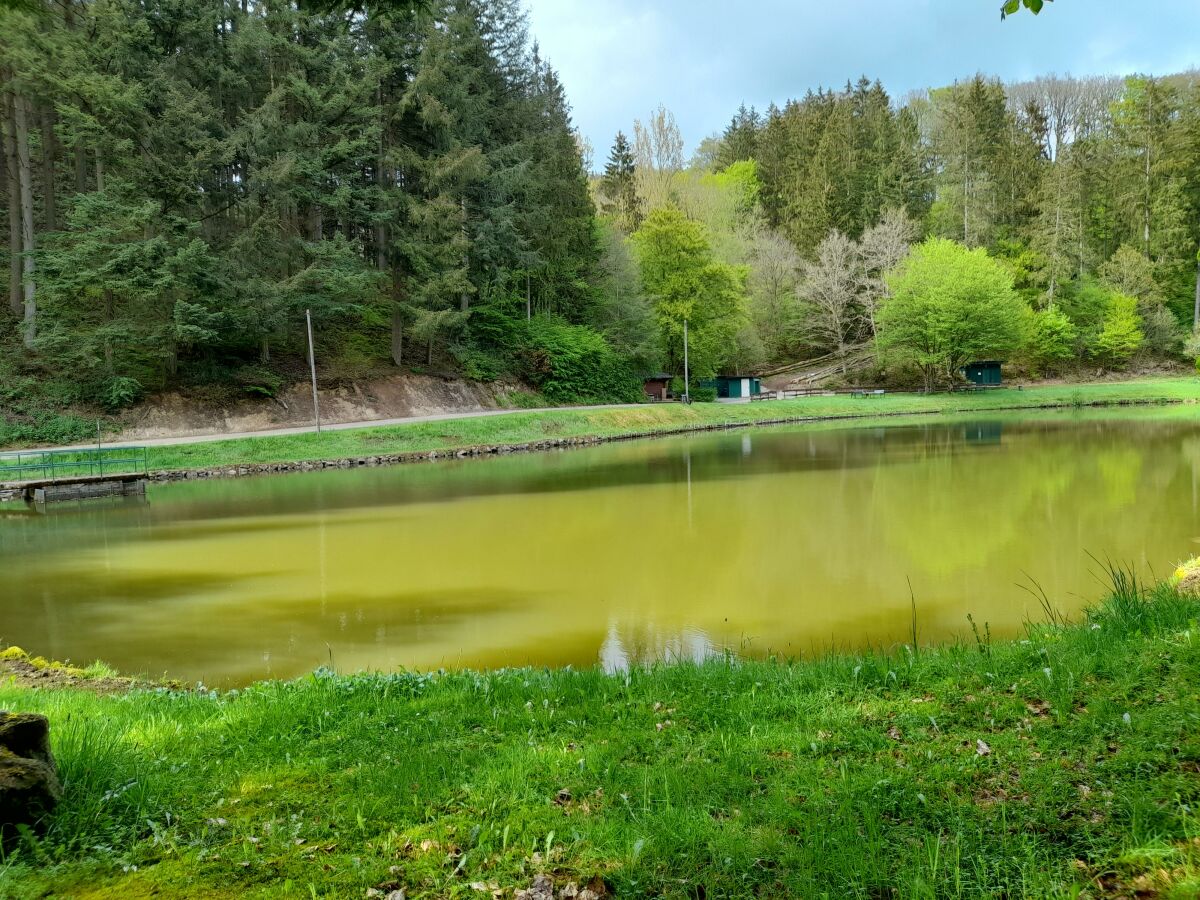 Angelweiher Trittscheid