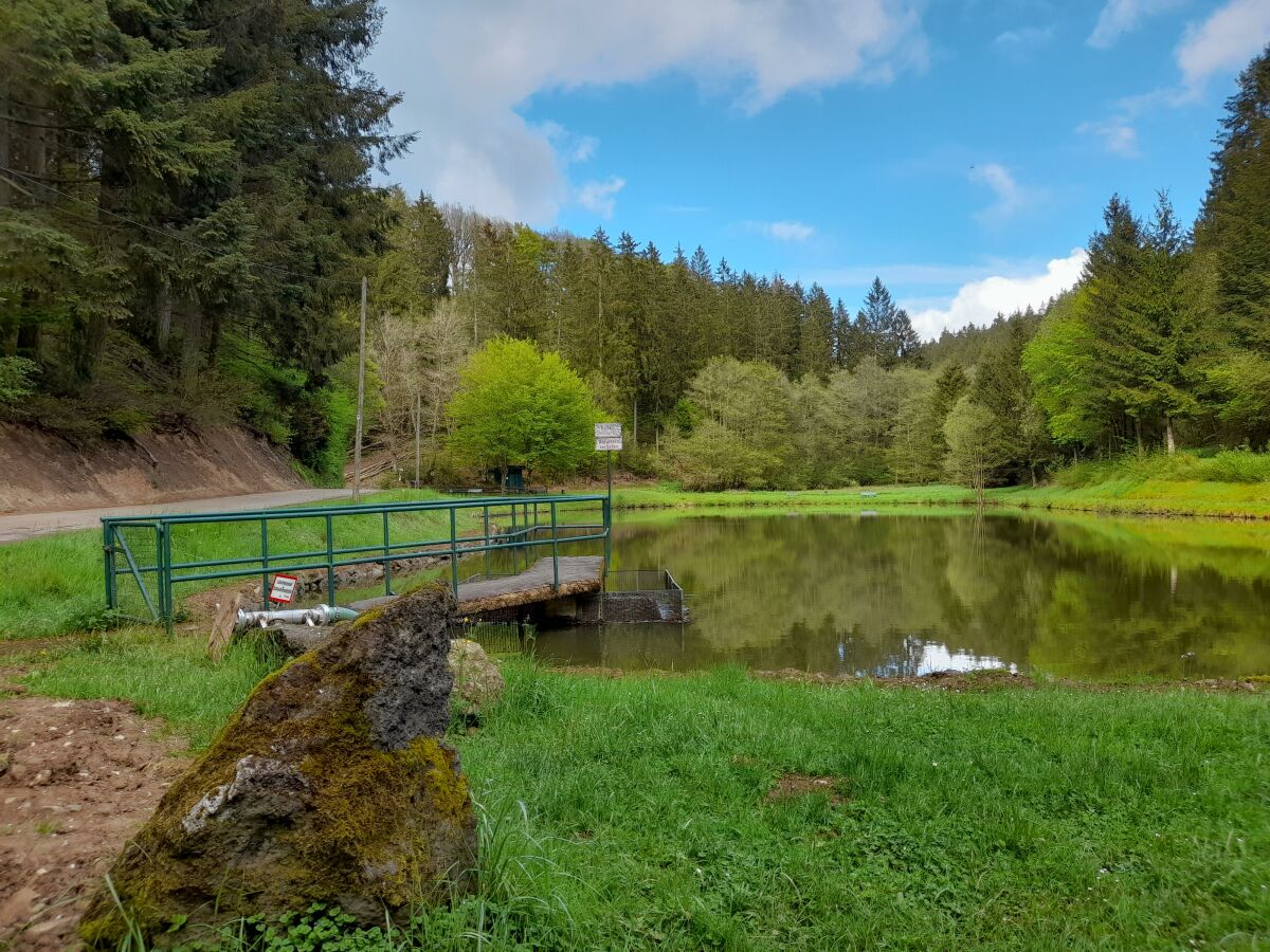 Angelweiher Trittscheid