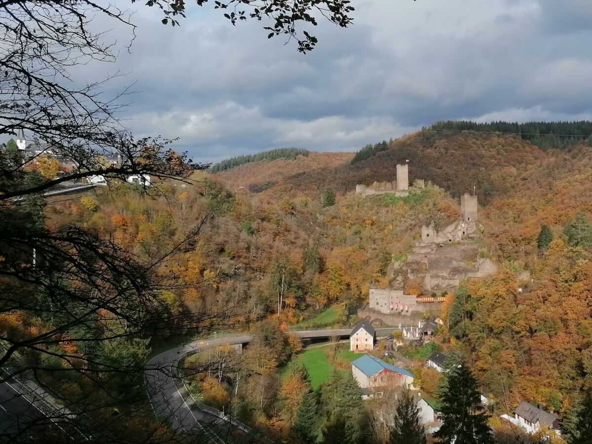 Manderscheider Burgen