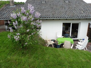 Apartamento Winkel (Eifel) Grabación al aire libre 4