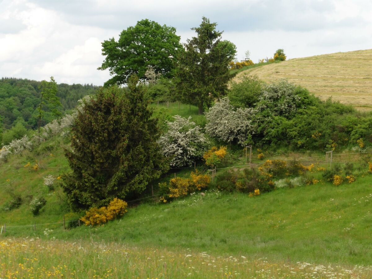 Natur Winkel