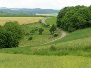 Apartamento Winkel (Eifel) Grabación al aire libre 8