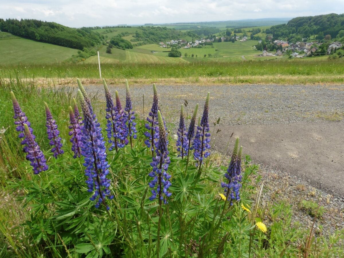 Naturaufnahme bei Winkel