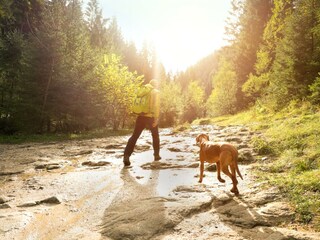Wandern mit Hund