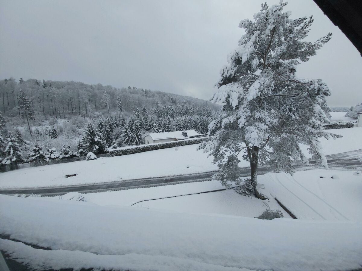 Winterlandschaft am Haus (2) - Kopie