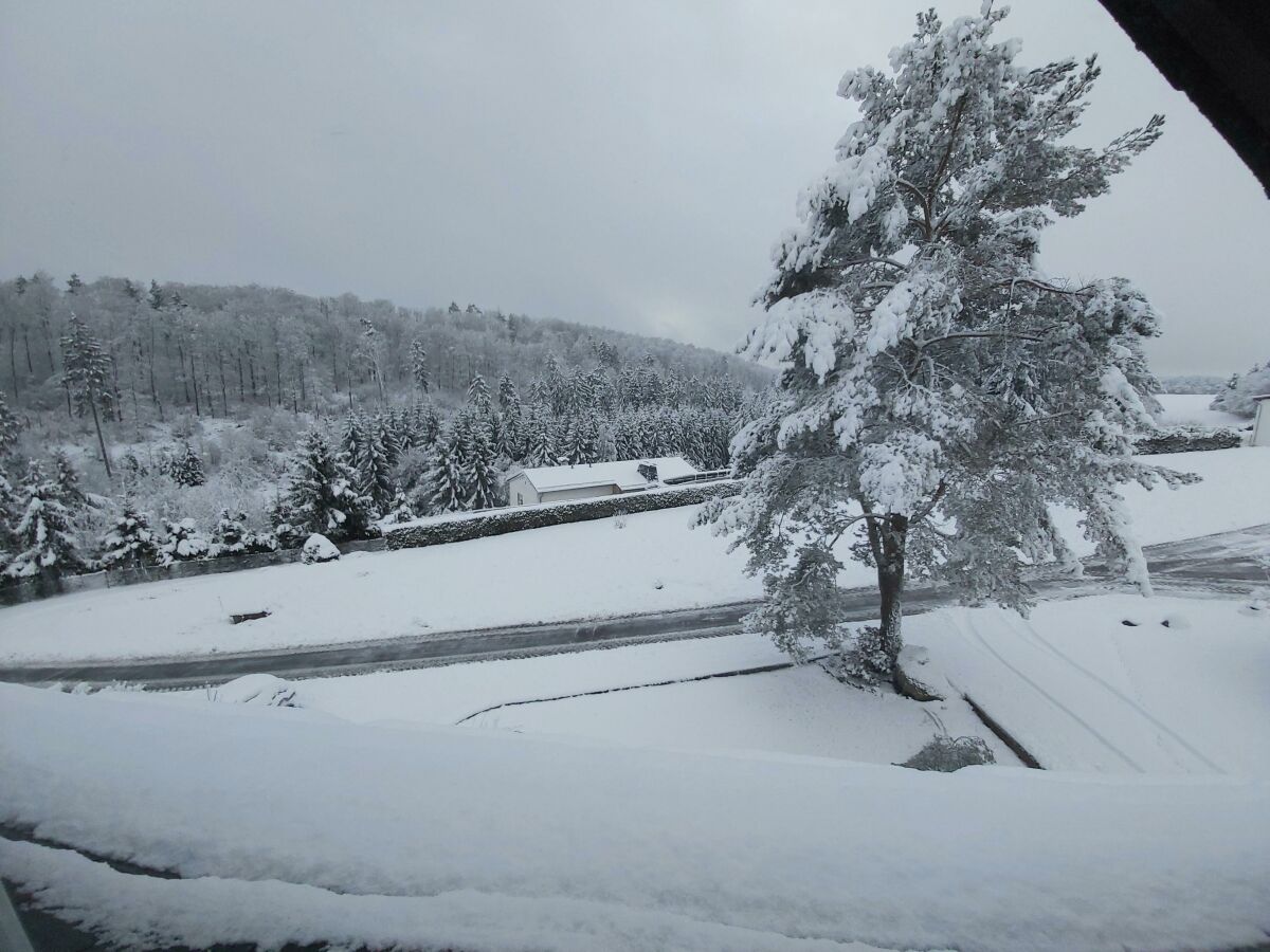 Winterlandschaft am Haus (2) - Kopie