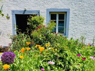 Bauerngarten im Sommer