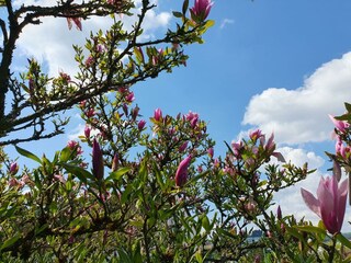 IMG-20230518-WA0001