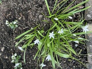 Frühling