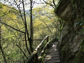 Lieserpfad-Eifelsteig