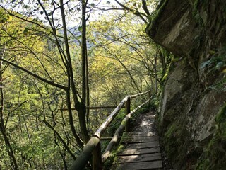 Lieserpfad-Eifelsteig