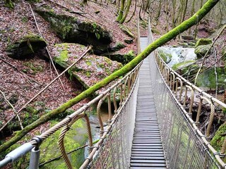 Eifelsteig